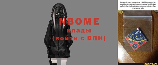 шишки Алексин
